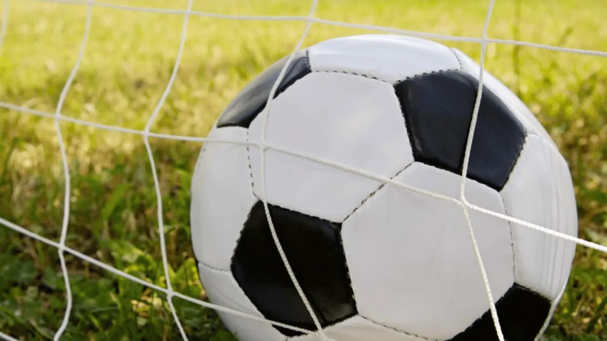 Creating a global community of volunteers - FIFA