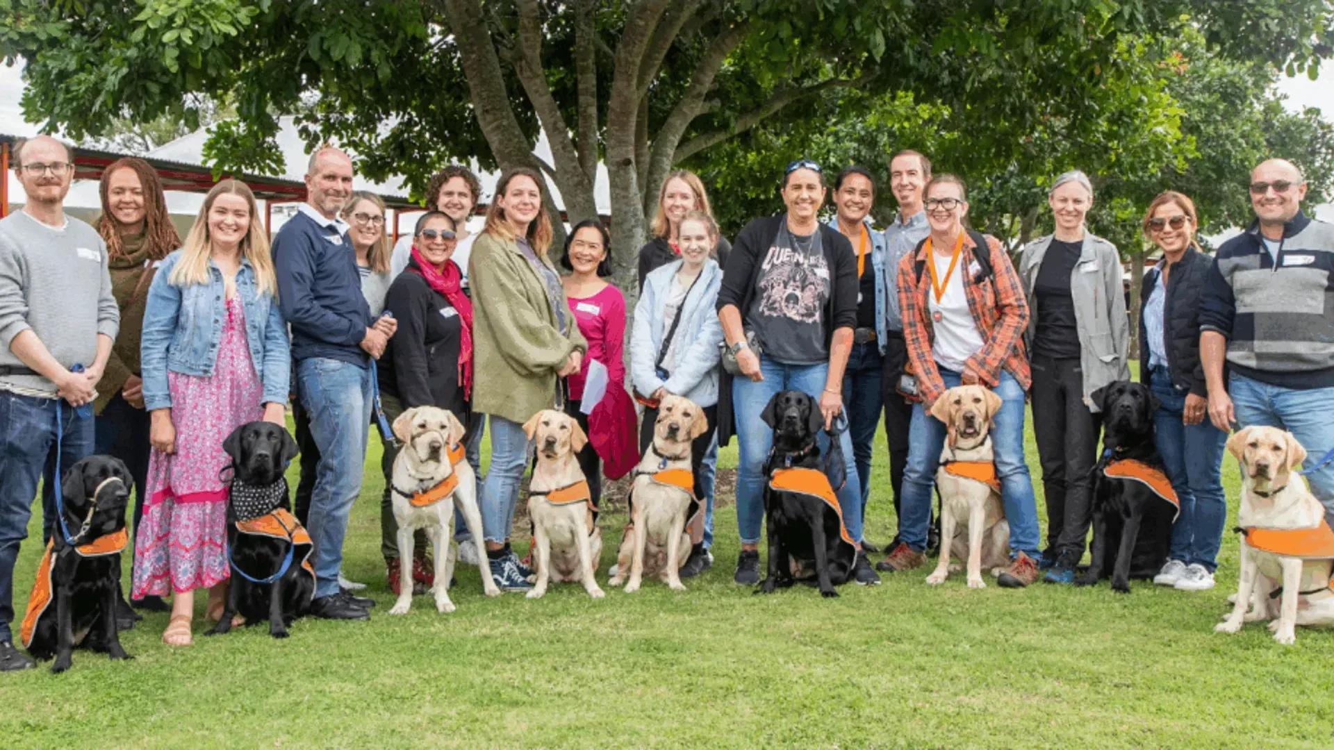 Group of Guide Dogs volunteers alongside dogs all lined up for a photo