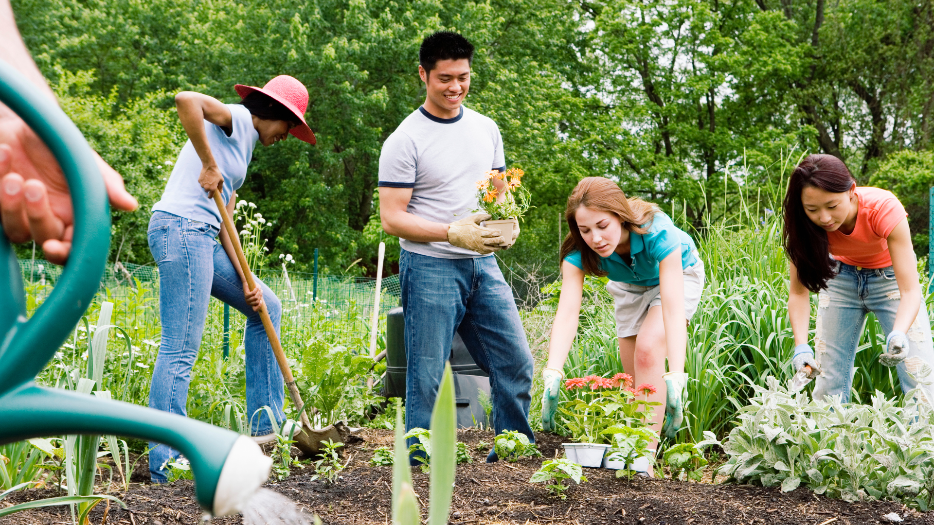 Case Study: Curtin University - How Rosterfy helps improve volunteer recruitment for universities