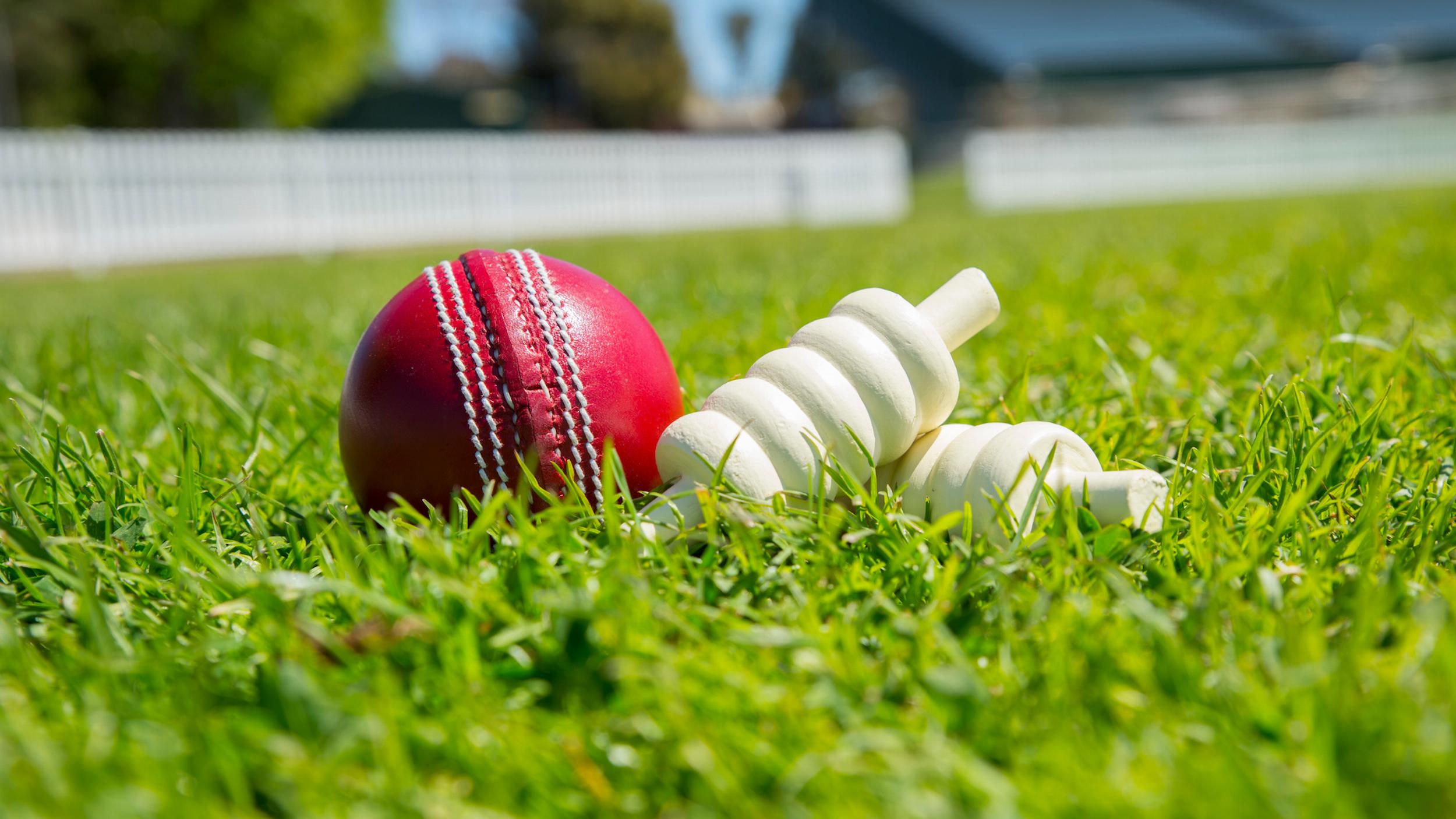 Reflections on the 2019 Cricket World Cup - Rosterfy