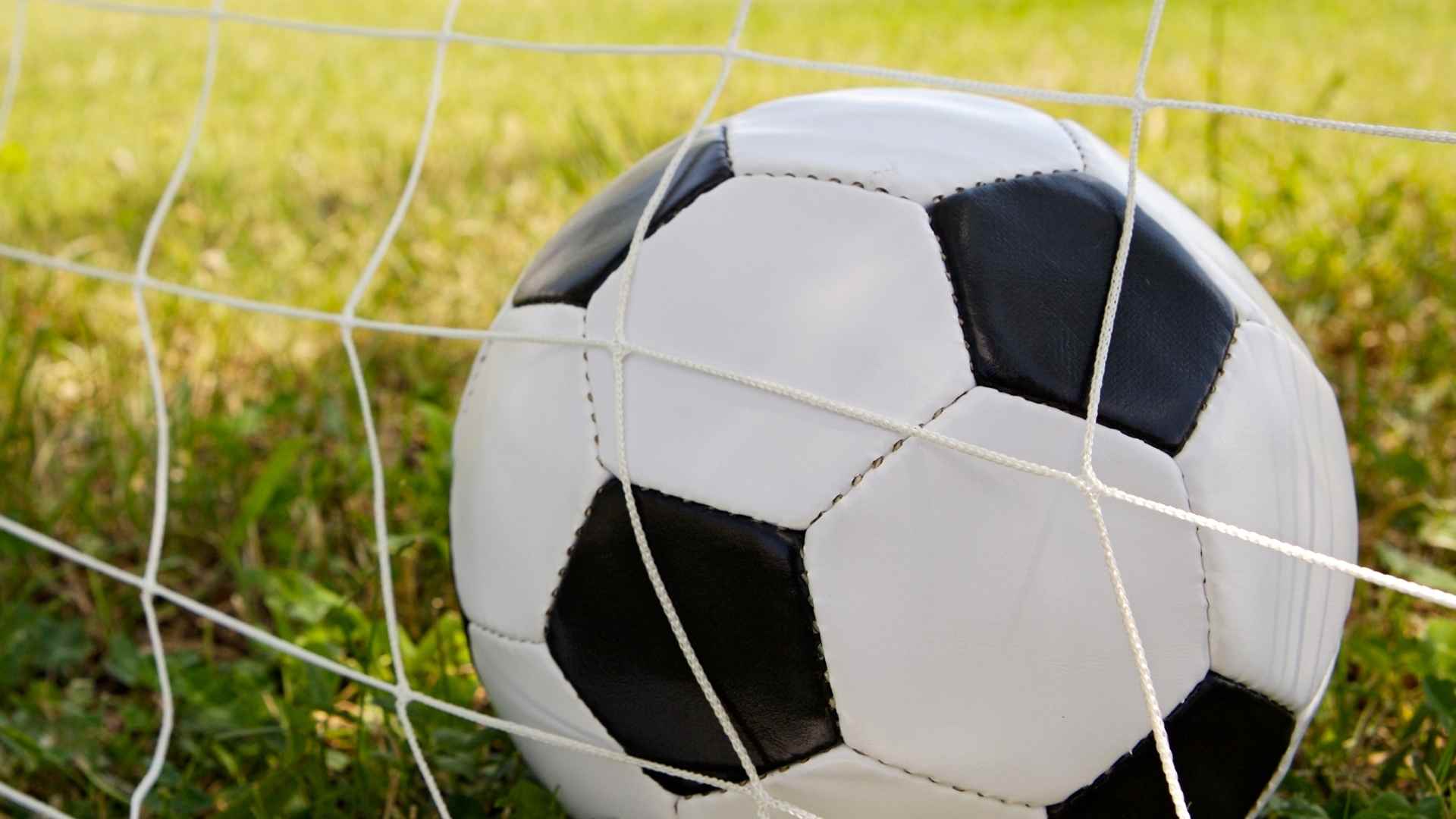 Creating a global community of volunteers - FIFA