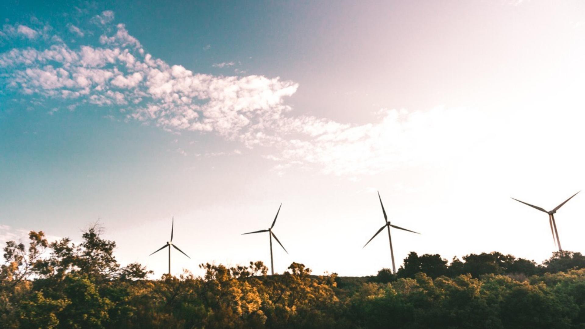 How sustainability is changing the face of event hosting & bidding - Rosterfy