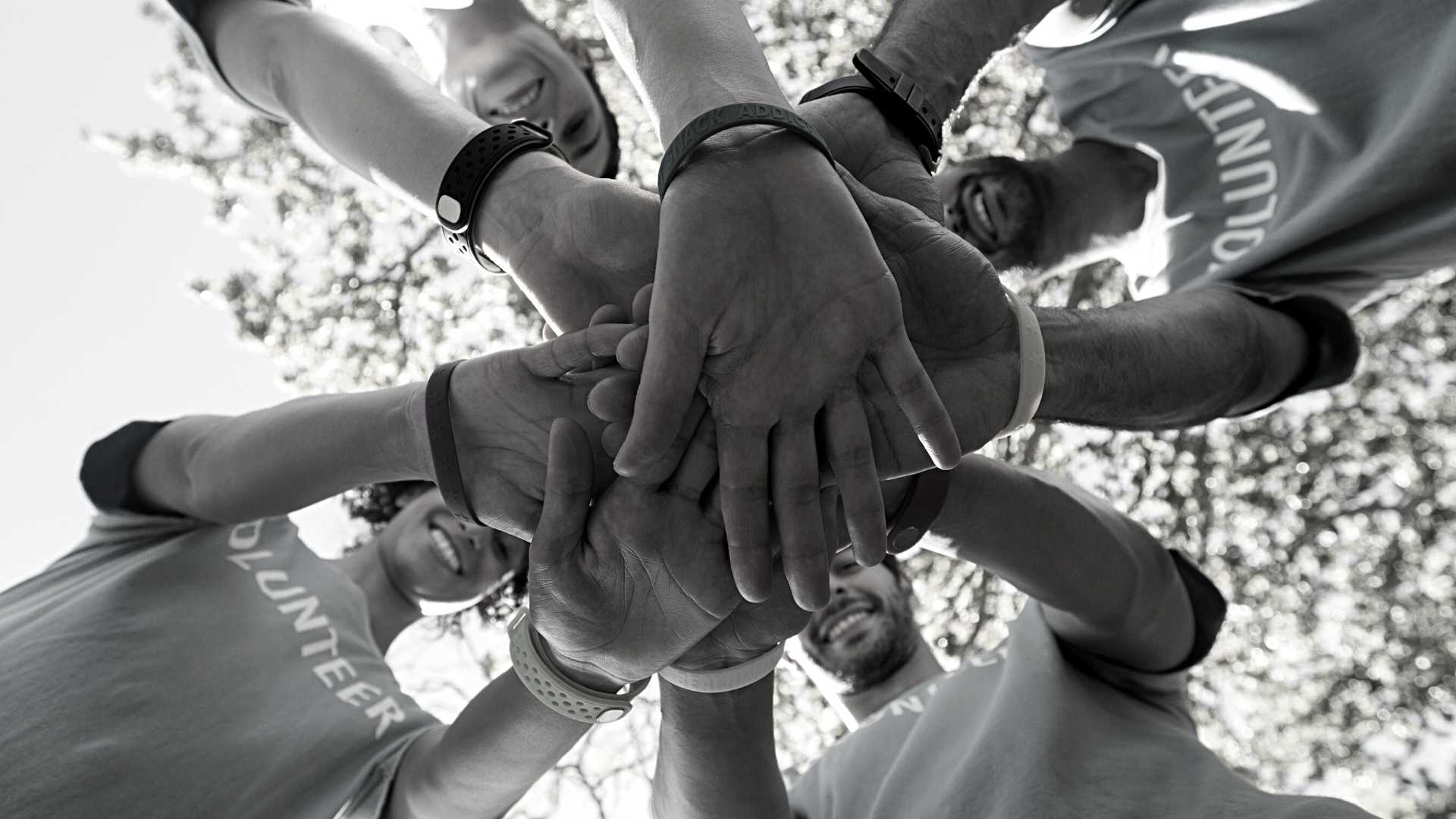Quantifying the Value of Volunteers