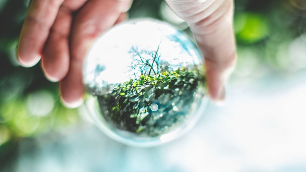 8 Ways to Help the Environment Through Volunteering