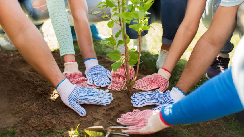 Where to post volunteer opportunities