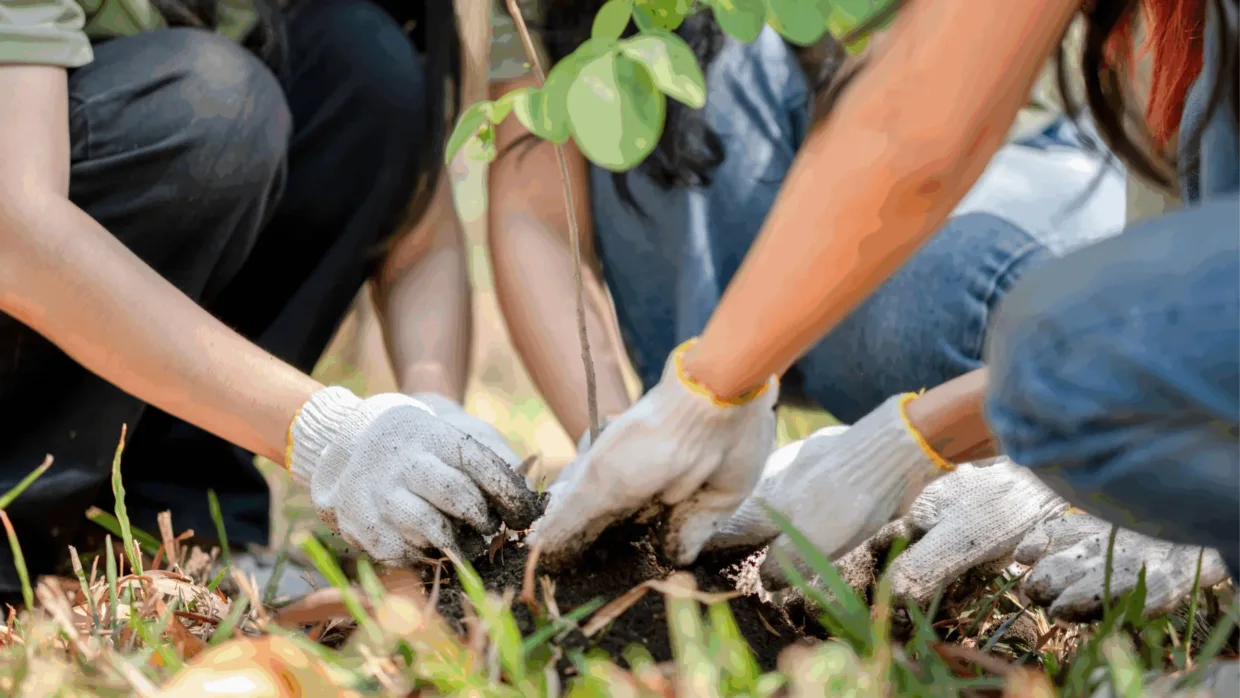 Outdoor volunteering